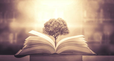 除夕前一天高速堵车吗