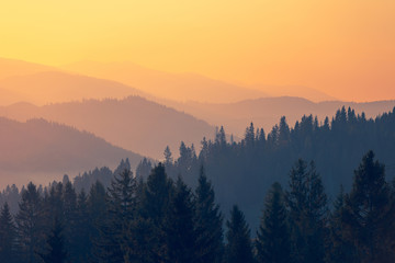 哪些飞机机型安全系数相对更高？