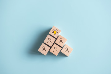 七年级上册生物知识点归纳总结