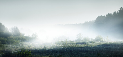 七年级上册生物知识点归纳总结