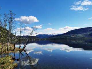 老瓷器鉴定的九大诀窍