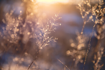 房间墙发霉长时间在里面睡觉