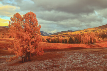 哪些飞机机型安全系数相对更高？