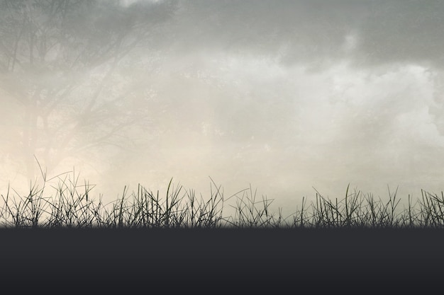 房间墙发霉长时间在里面睡觉