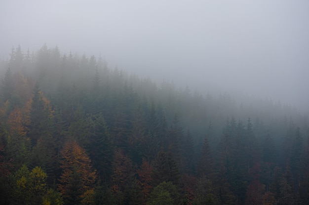 论“心理服务在提升旅游质量中的重要意义！”