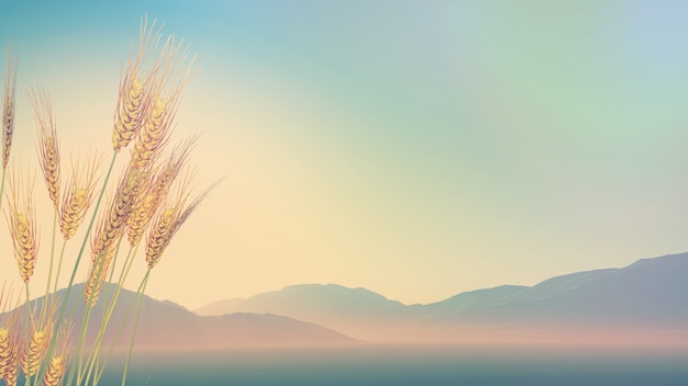 中华h530用的是什么发动机？