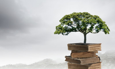 世界上一些数学家的故事