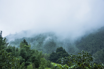 老款C200旅行为什么贵